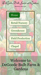 Mobile Screenshot of degoedebulb.com